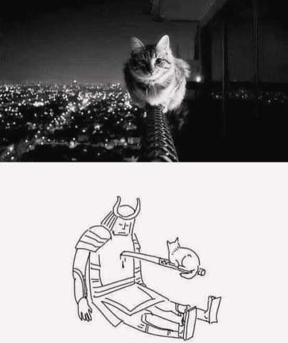 When the cat demands the sword back after you used it for seppuku