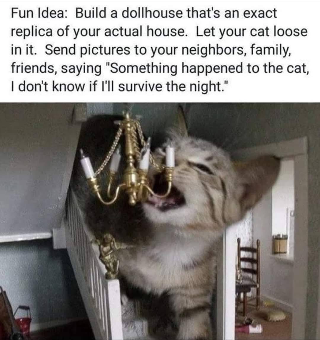 This is the ultimate prank, just imagine the chaos