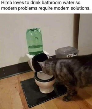 My cat is extra picky about his water so I guess this is my life now.