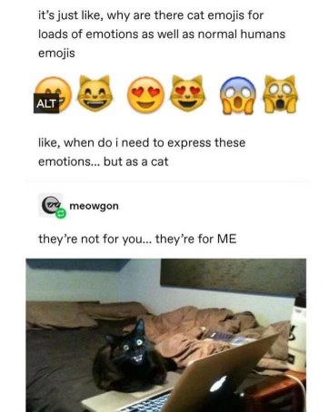 When you realize the cat emojis aren't for you, they're for the cat.