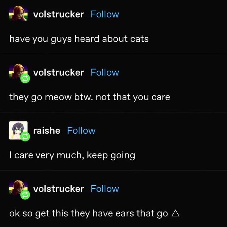 My friend explaining basic cat facts like they’re a groundbreaking discovery