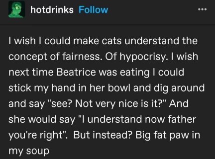 This person wishes cats could understand fairness, but instead, Beatrice just puts her paw in their soup.