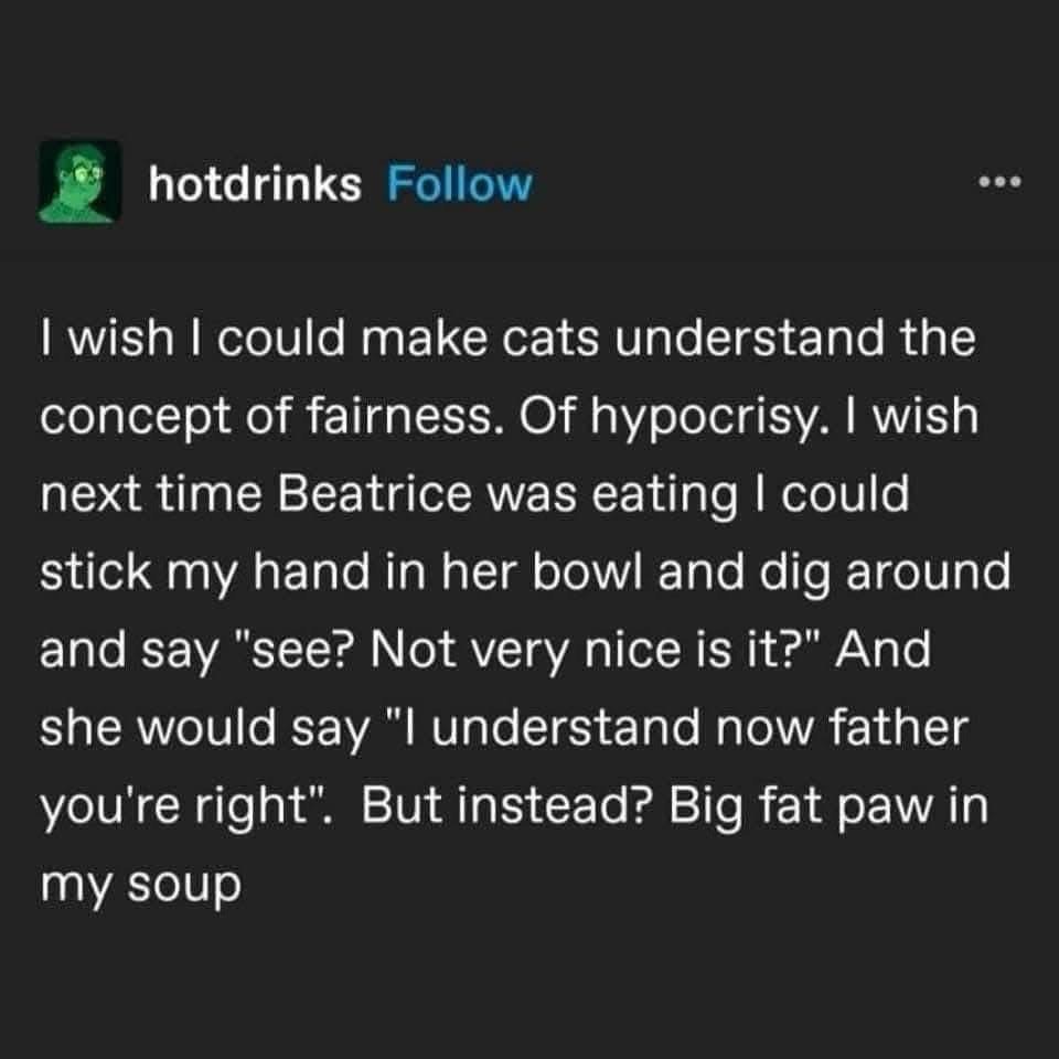 Me trying to teach my cat about fairness vs. what actually happens when I try to take their food