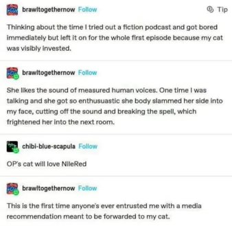 Me trying to get my cat interested in my hobbies, but she's more invested than I am.