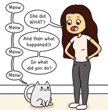 My cat hearing literally any gossip vs. my cat actually participating in the gossip