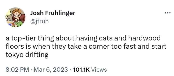 When your cat tries to take a corner too fast on the hardwood floors and starts Tokyo drifting