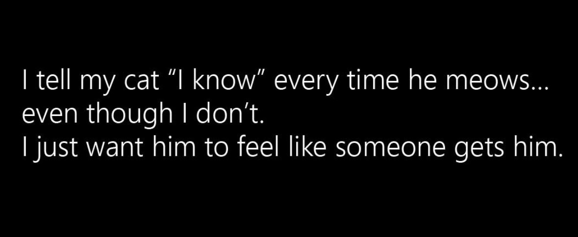 My cat meows and I just say 'I know' to make him feel understood, even though I have no clue what he's saying.