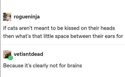 So cats don't have brains, just a kiss spot? I can live with that.