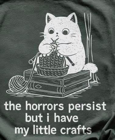 This cat is so done with everything but at least it has its knitting.