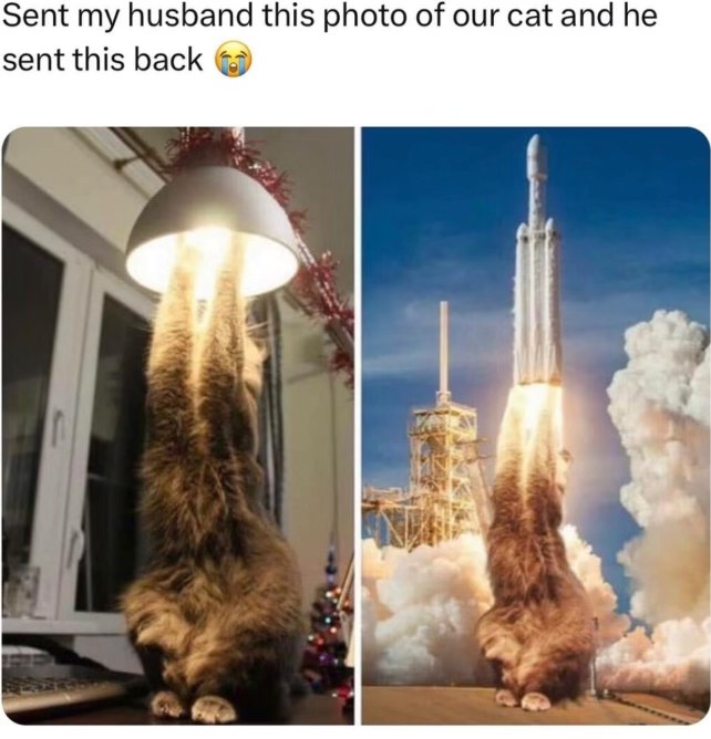 My cat hanging from a lamp looks exactly like a rocket taking off, ngl