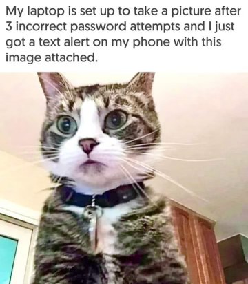 My laptop caught my cat trying to log in and now I'm being notified.