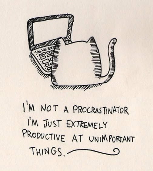 This is my spirit animal when I have a deadline.