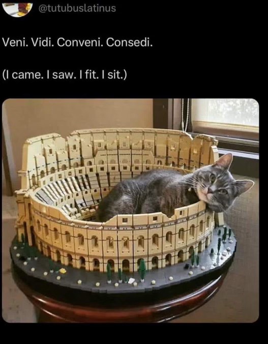 Me realizing I can fit anywhere I want, and I will sit.
