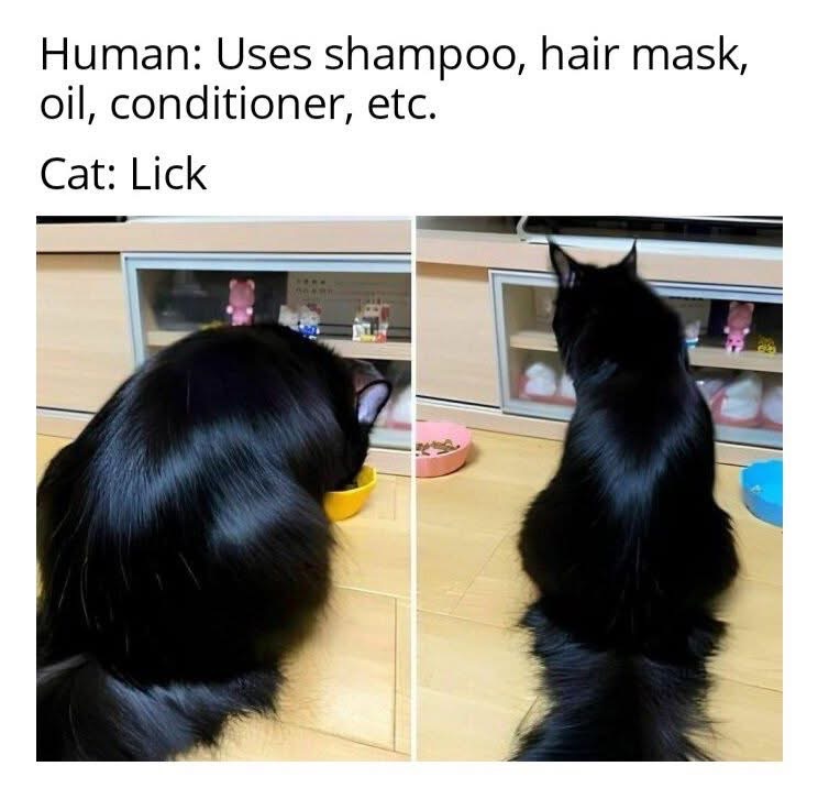 My cat's grooming routine vs. my entire bathroom cabinet
