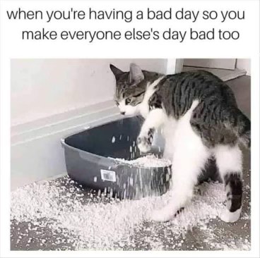 When you're having a bad day so you make everyone else's day bad too.