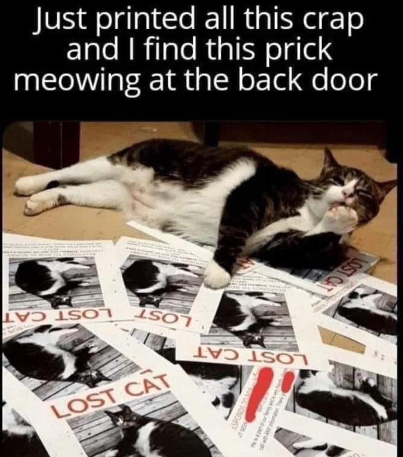 Me when I finally give up searching for my cat and he's just chilling by the door the whole time