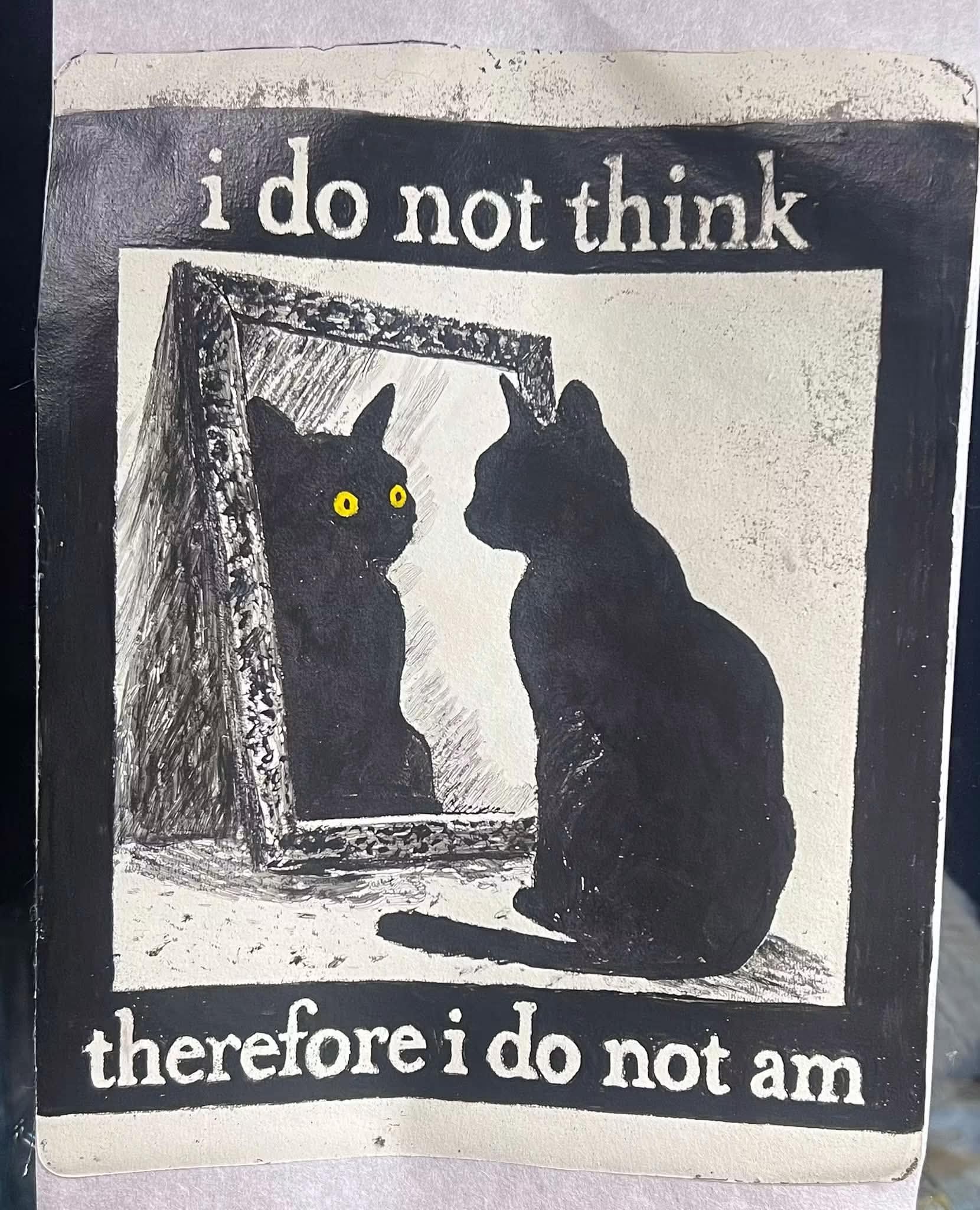 Me looking in the mirror and questioning my existence, but make it cat edition.