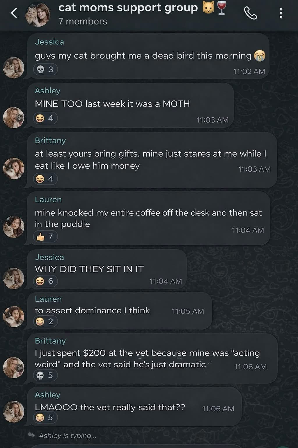 Cat moms sharing their pets' antics in a group chat, from dead birds to dramatic vet visits.