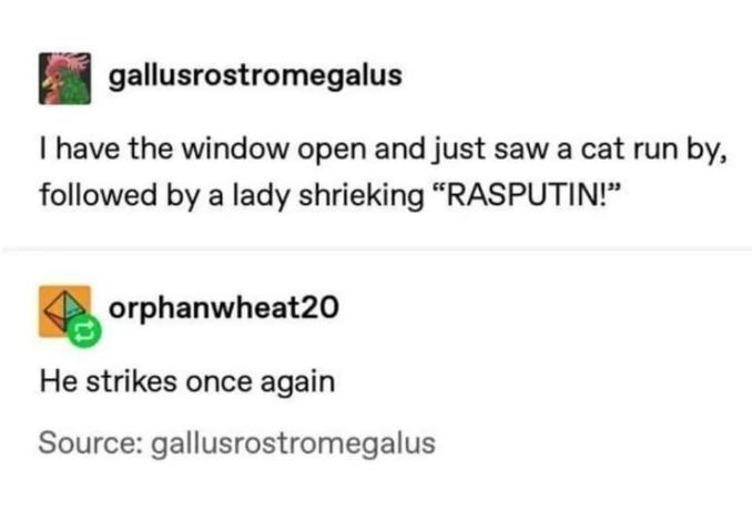 That cat really lives up to its name, just did a whole Rasputin routine, and someone noticed lol