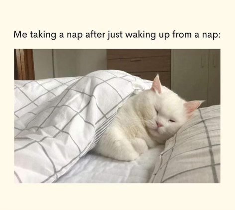 Me taking a nap right after waking up from a nap.
