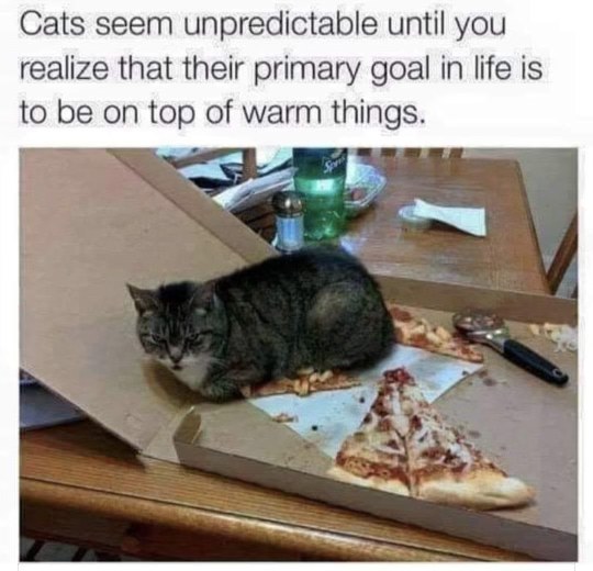 The cat found the warmest, most delicious spot to nap.