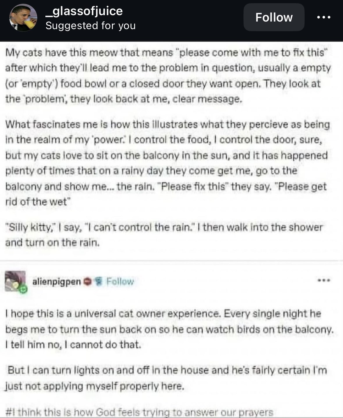 My cats think I can control the weather and I'm just choosing not to. Apparently, I'm also bad at my job if I can't even turn the sun back on.