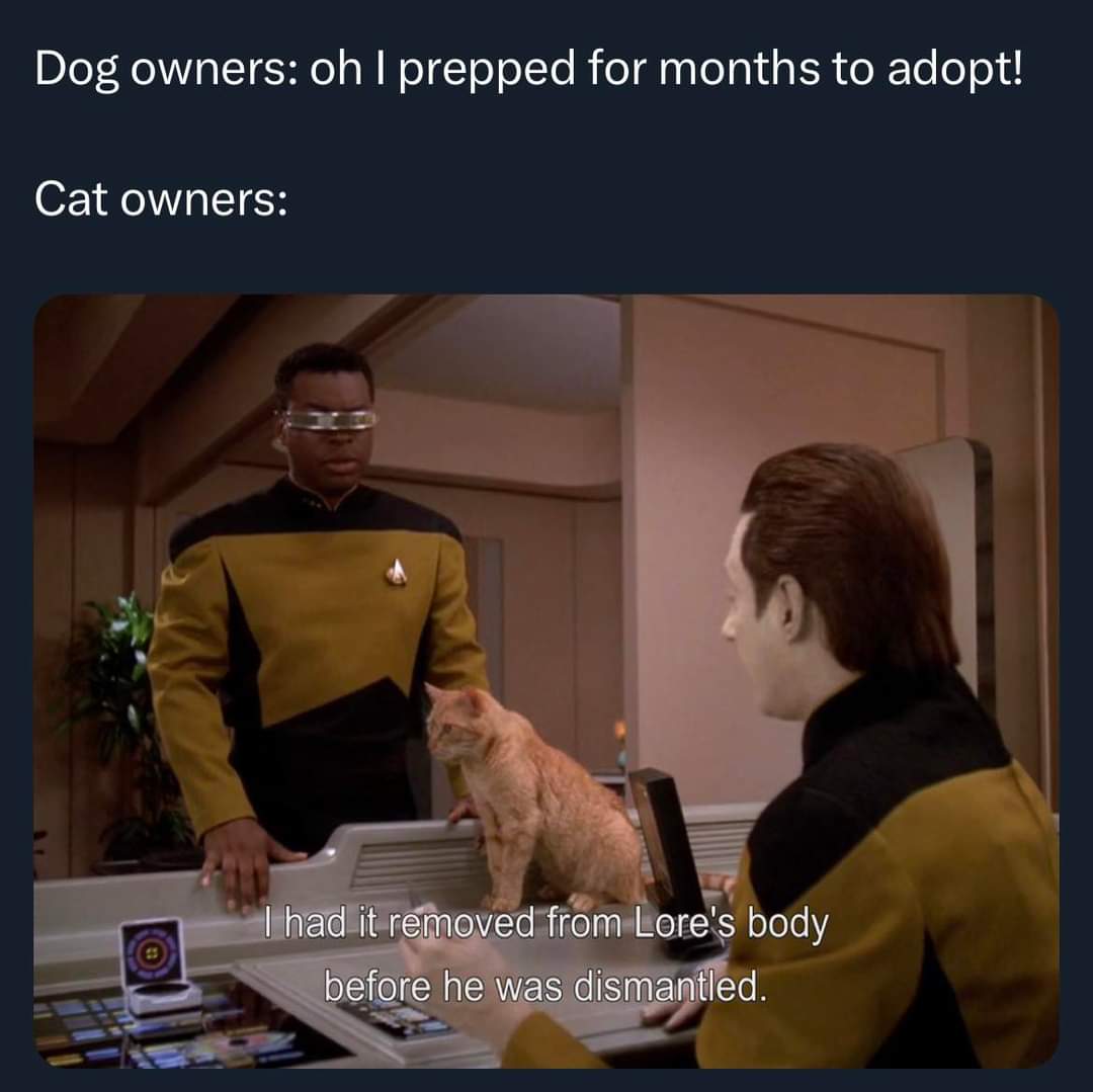 Cat owners just casually acquiring pets after someone else's tragedy