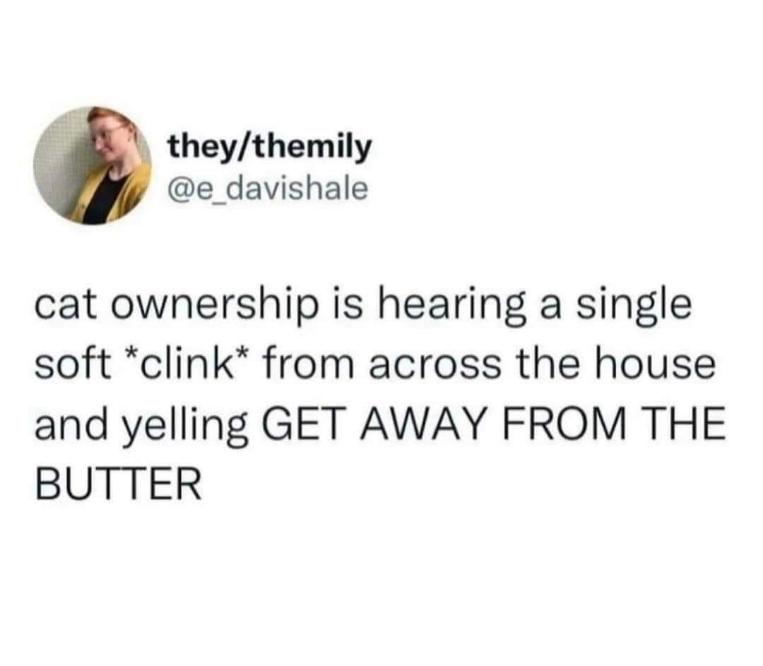 Cat owners know the instant panic of hearing a tiny clink and immediately yelling "GET AWAY FROM THE BUTTER"