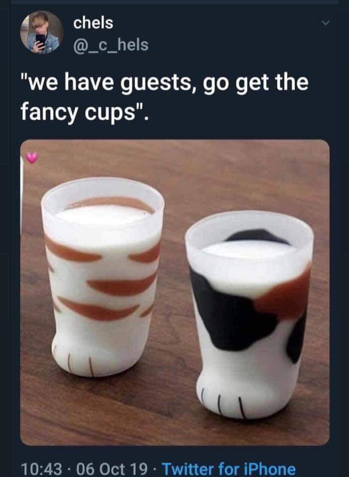 OMG these are actual cat paw print cups, so cute!!