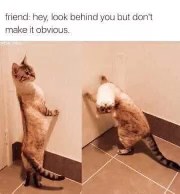 When your friend tells you to look at something without being obvious, but you still fail.