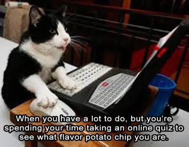 Me procrastinating by taking a quiz to find out what flavor potato chip I am when I have a million other things to do.