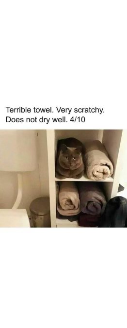 This towel is surprisingly scratchy and doesn't dry well I guess.
