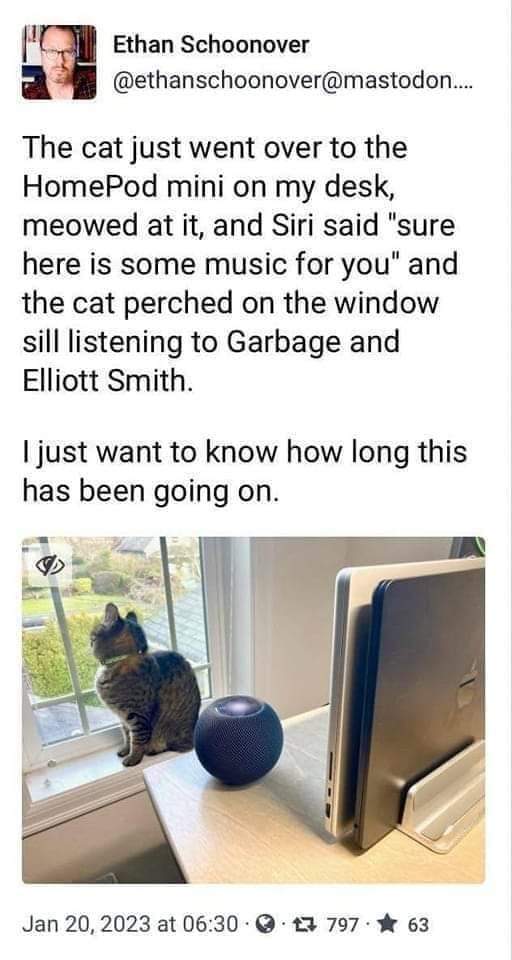 My cat is apparently a music critic with very specific tastes, thanks to Siri.