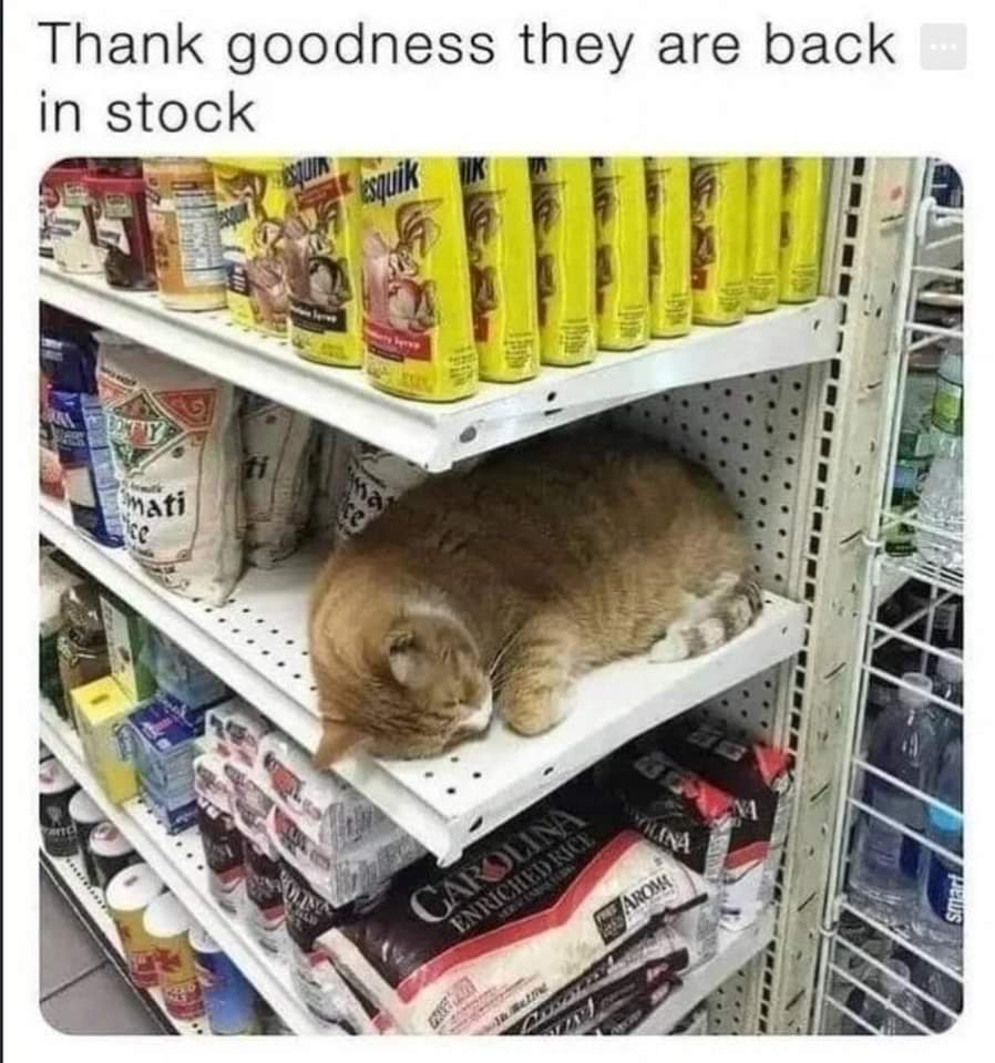 When the essential item you desperately need is just chilling on the shelf