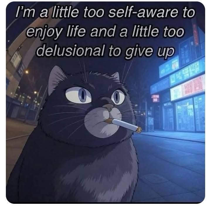 This cat is too self-aware to enjoy life but too delusional to quit, lol