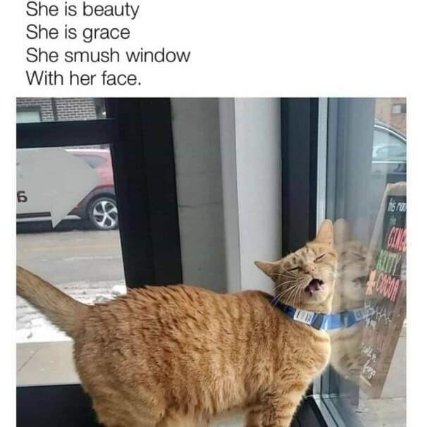 She is beauty, she is grace, she smush window with her face