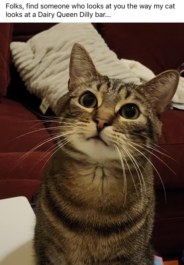 I need that Dilly bar, human. Don't be selfish.