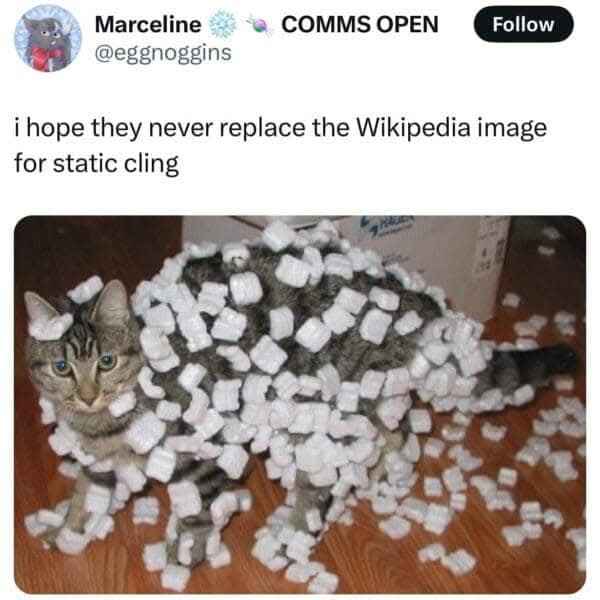 This cat is literally static cling, I hope Wikipedia keeps this pic