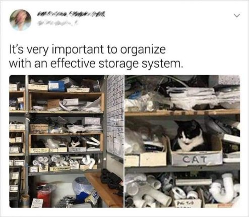 Apparently, the most effective storage system involves a cat labeled 'CAT'.