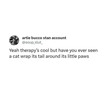 tbh therapy is cool but have you seen a cat wrap its tail around its paws
