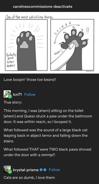 Booping a cat's toe beans is peak satisfaction until they decide to yeet themselves down the stairs