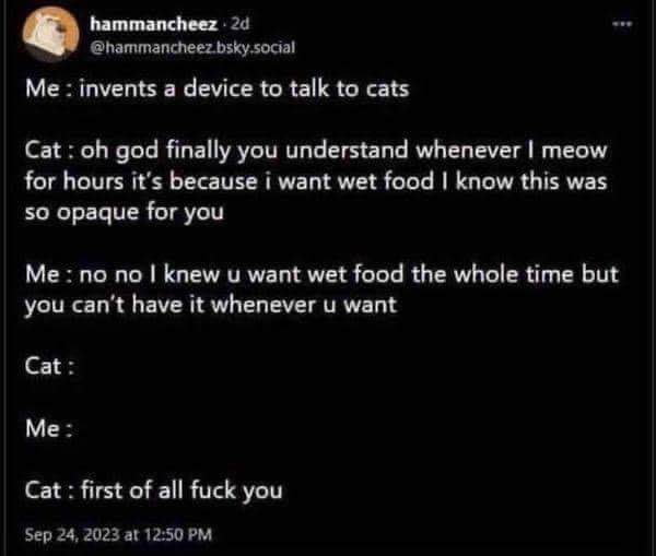 When you invent a cat translator and your cat immediately tells you off