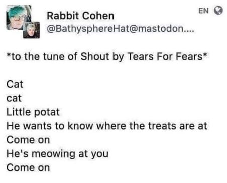 Me screaming about my cat wanting treats, but it's sung to the tune of 'Shout'