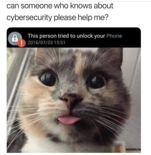 My cat trying to unlock my phone and I'm genuinely scared for my cybersecurity.