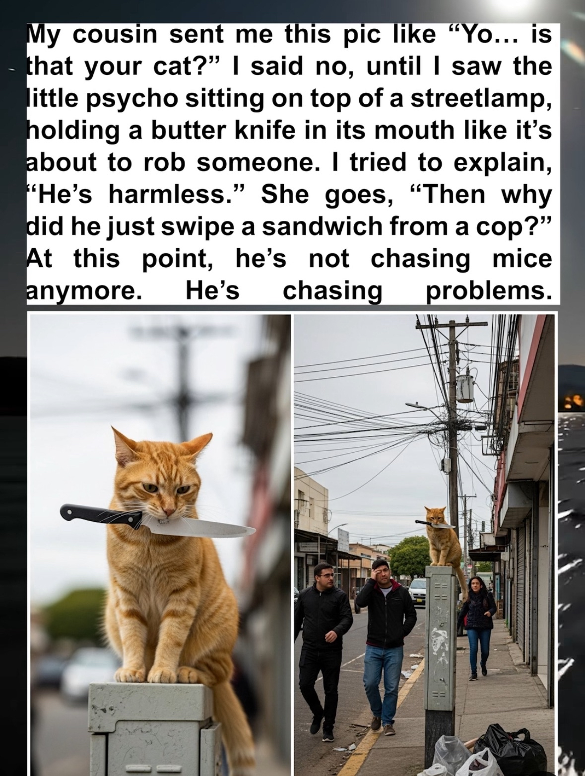 This cat isn't chasing mice, he's chasing problems. I mean, he's holding a knife!