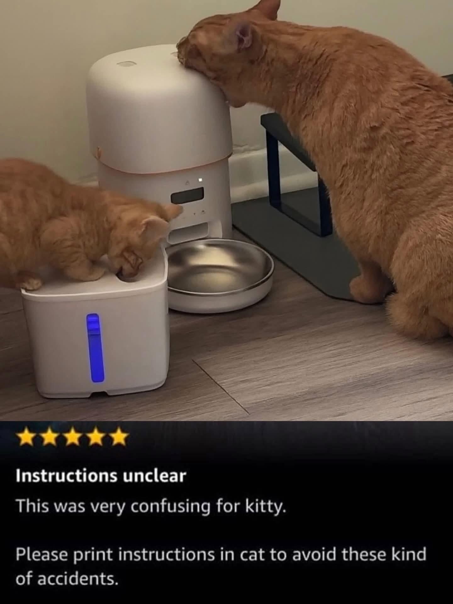 Apparently my cats can't read the instructions for the new feeder... maybe I should have gotten one printed in cat.