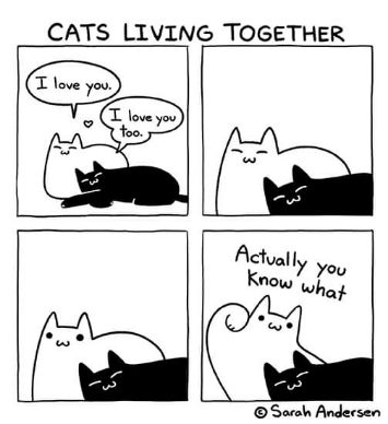 When you say 'I love you' to your cat and they respond with 'actually you know what'
