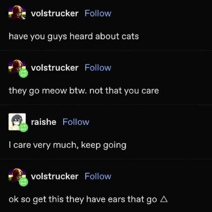Me explaining cats to someone who clearly doesn't care but then it turns out they do