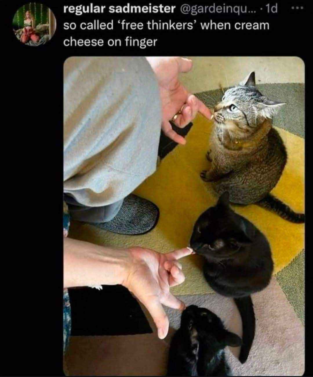 When you pretend to be independent but then someone offers you cream cheese on a finger