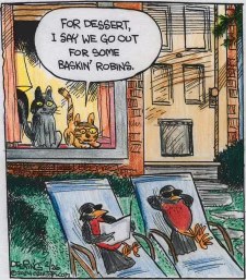 Cats wanting to go out for Baskin' Robbins while the robins are just trying to chill.